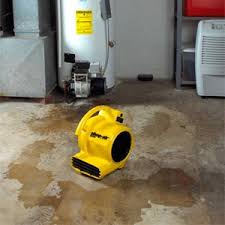 But that shouldn't actually be the case. How To Dry Out A Basement Fast A 2 Hour Step By Step Guide