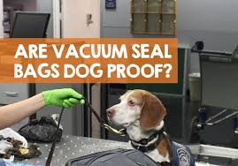 Can Drug Dogs Smell Through Vacuum Seal Bags Answer