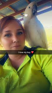 Is it normal for a bird to stand around in central Las Vegas?