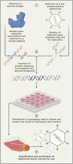 Guests are not allowed to rate the novels, please go through the authorization to rate. Novel Approaches For Vaccine Development Sciencedirect