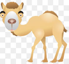 If you are unsatisfied for any reason, we offer a 100% money back guarantee for up to 30 days after your purchase. Animal Cartoon