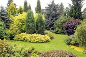 Pin Von Elvira Schindler Auf Garten Planen In 2020 Immergruner Garten Garten Bilder Von Landschaften