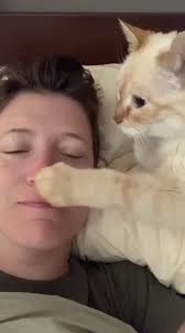 Adorable Cats and Dogs