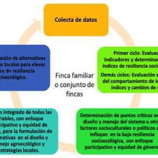 We did not find results for: Pdf Creando Resiliencia Socio Ecologica Dos Ejemplos Desde Bolivia