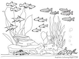 Ocean Animals Coloring Pages Pict Of Ocean Life Kids Coloring Sheet Printable At Coloring Pages 1024x768 Jpg Raskraski S Zhivotnymi Raskraski Detskie Raskraski