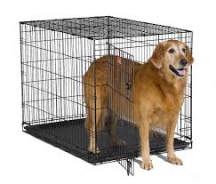Best Dog Crates Everything You Need To Know Dogable