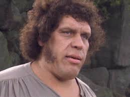 images?q=tbn:ANd9GcQr7xDjrPmR7vuMp_l87X1