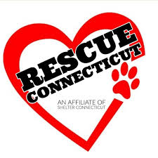 Po box 17307 stamford, ct 06907 www.pprct.org projectpreciousrescue2@gmail.com Project Precious Rescue Inc Home Facebook