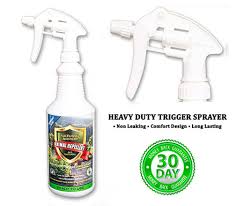 Placing natural repellents like the peel of some citrus fruit, spraying liquid repellents and sprinkling granules around your home can effectively remove unwanted critters. The Best Sat Repellents Natural Homemade Spray And Ultrasonic Devices