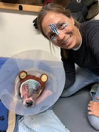 Archer, a dog living in Alaska, was severely burned when his home caught  fire. When firefighters arrived at the scene, they found Archer consumed by  flames. The scared dog ran off when