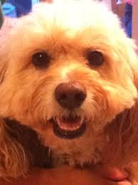 Todd Geraghty (@tcgeraghty) • Facebook