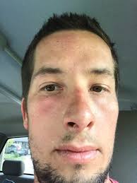 Cutting zinnias can disturb sleeping bees