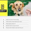 When you begin clicker training you teach your dog that the click is always followed by a food treat. 1
