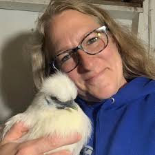 Suggestions for cleaning pigs ears? My little ones ears look pretty dirty.  She doesn't seem to be in pain and she doesn't love being touched