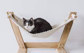Macrame cat hammock, cat tree, hanging cat bed, pet wall furniture, boho cat swing, cute crochet cat supplies, cat lover gifts, pets gifts. Do You Really Need A Cat Hammock 7 Reasons To Get One
