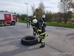Wolf steht nach kadaverfunden wieder unter verdacht Funf Neue Atemschutztrager Fur Die Ff Lasberg Feuerwehr Lasberg