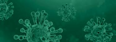 2019 novel coronavirus, wuhan seafood market pneumonia virus) — оболочечный одноцепочный. Tools For Addressing Sars Cov 2 Virus Twist Bioscience