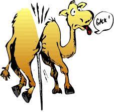There is a gate in jerusalem called the eye of the needle, through which a camel could not pass unless it stooped down and had all its. Matthew 19 24 Explained The Camel And The Rich Man Was Not About Money Or Greed Jesus Without Religion
