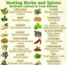 Herbalism Medicine Medicinal Herb Chart