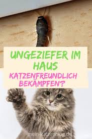 Silberfische Ameisen Spinnen Ahnliche Ungeziefer Im Haus Katzenfreundlich Bekampfen Ohne Gift Katzen Ungeziefer Im Haus Ungeziefer