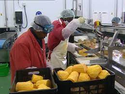 Food Processing Africa - induced.info