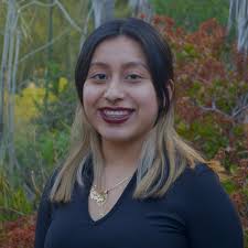 Lambda Theta Nu, Chi Chapter