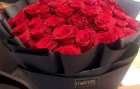 We did not find results for: Fromyouflowers Send Gorgeous Flowers Gifts To Pakistan Same Day