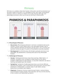 Image result for paraphimosis