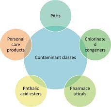 Recalcitrant — refractory, intractable, headstrong, willful, *unruly, ungovernable analogous words: Treatment Of Organic Recalcitrant Contaminants In Wastewater Intechopen