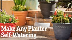We did not find results for: Make Any Planter Self Watering Youtube