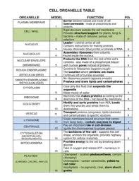 Animal And Plant Cell Organelle Structure And Function