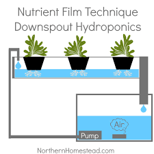 The nutrient film technique was used for experimentation. N F T Downspout Hydroponics Setup Northern Homestead