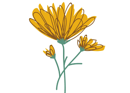 News-Archive — Oblates of St. Francis de Sales