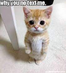 Meme Creator Funny Why You No Text Me Meme Generator At Memecreator Org