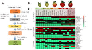 Targeted Bioactive Compound Extraction And Abundance From