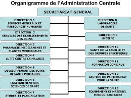 La nouvelle organisation du ministère de l'education nationale est verticale. Ppt Arbre Organique Du Ministere De La Sante Powerpoint Presentation Id 1050960
