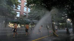 80 maclaren street ottawa, ontario, k2p 0k6. 2qomjp96corodm