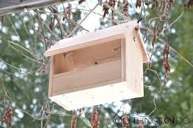 Whether it is winter, spring, or fall, there are likely to be some hungry birds in your neighborhood! 50 Diy Bird Feeders Ideas And Plans Epic Saw Guy