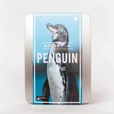By purchasing one of our galapagos penguin adoption packs you will be directly contributing to the conservation of this endangered species. Adopt A Penguin From Gift Republic
