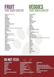 Fruits And Veggies That Dogs Can Eat Healthy Dog Food Recipes Foods Dogs Can Eat Dog Food Recipes