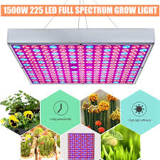 We did not find results for: Augienb 1500w Led Plant Grow Light Hydroponic Full Spectrum Growing Lamp For Hydroponics Greenhouse Plant Factory Flower Veg Indoor Plant With Rope Hanger And Power Cord Walmart Canada