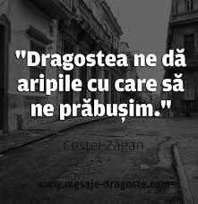 Pin On Citate Celebre Curiosa