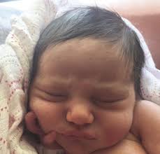 Meet Your New Neighbors