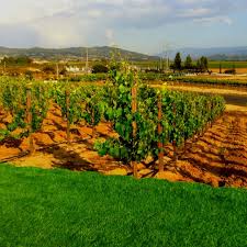 Temecula Ca Ihearttemecula Temecula Wineries Virginia Wineries Temecula