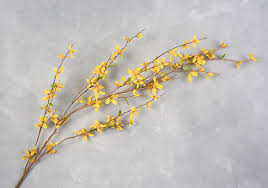 Forsythia Flower Tattoo Viewing Gallery Flower Tattoo Tattoos Botanical Tattoo