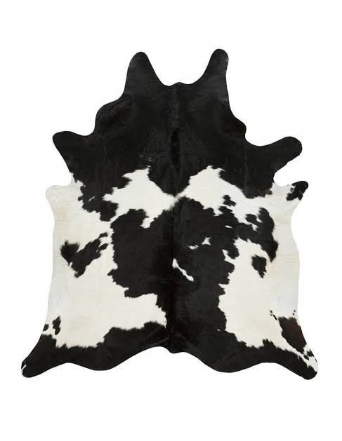 Image result for cowhide"