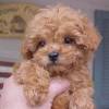 For more info on drake and rose please visit our website … 1