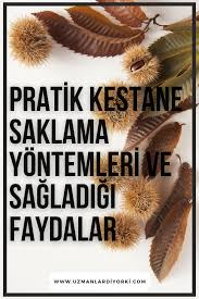Kestane Saklama Yontemleri Ve Faydalari 2020