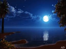 Maybe you would like to learn more about one of these? Laut Di Malam Hari Wallpaper Hidup Iphone Download Di Phoneky Ios App