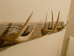 Pin By Kimberly Snell On Building In 2020 Antler Crafts Deer Antler Crafts Antlers Decor
